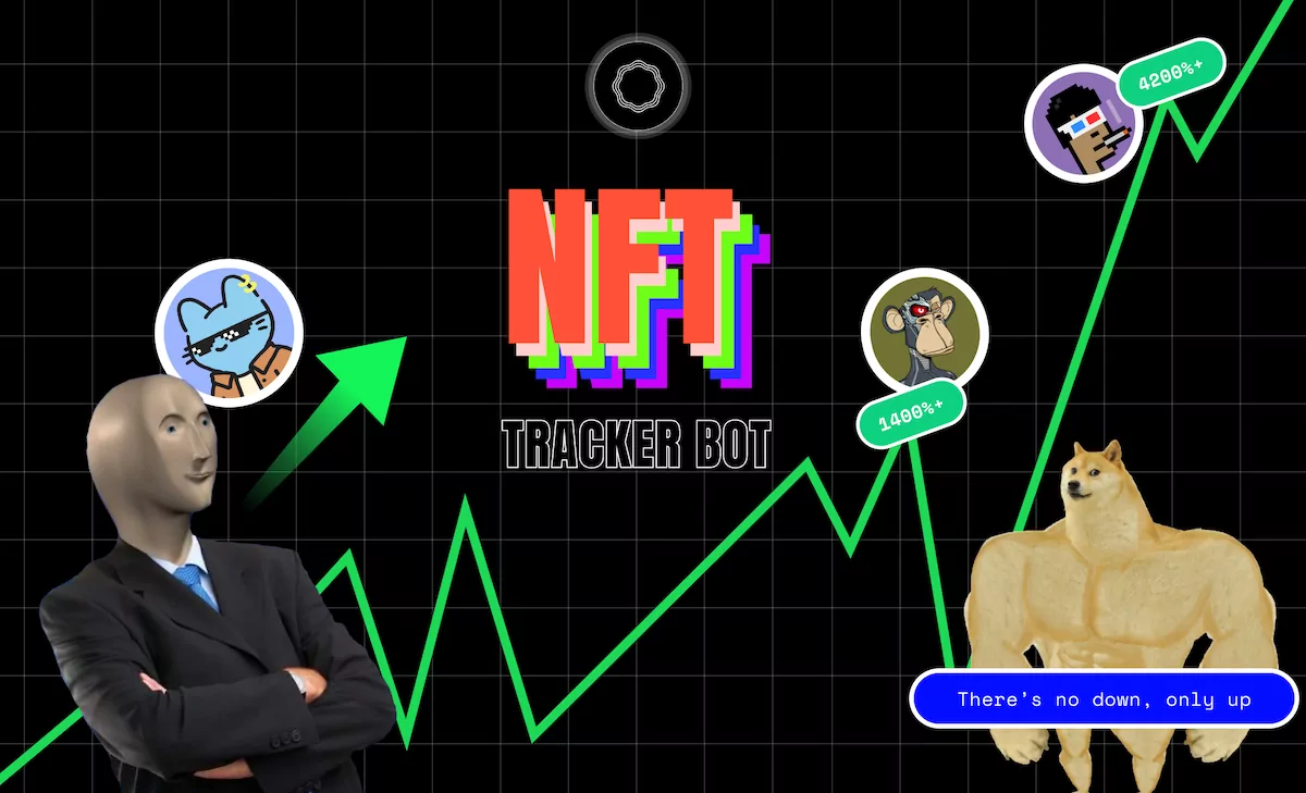 NFT Portfolio Tracker Bot on Discord with Napkin