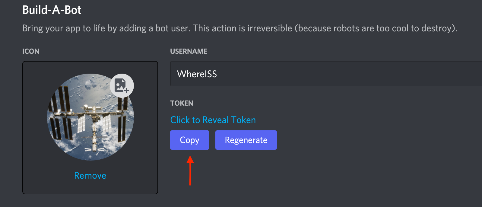 Bot Token Copy Button